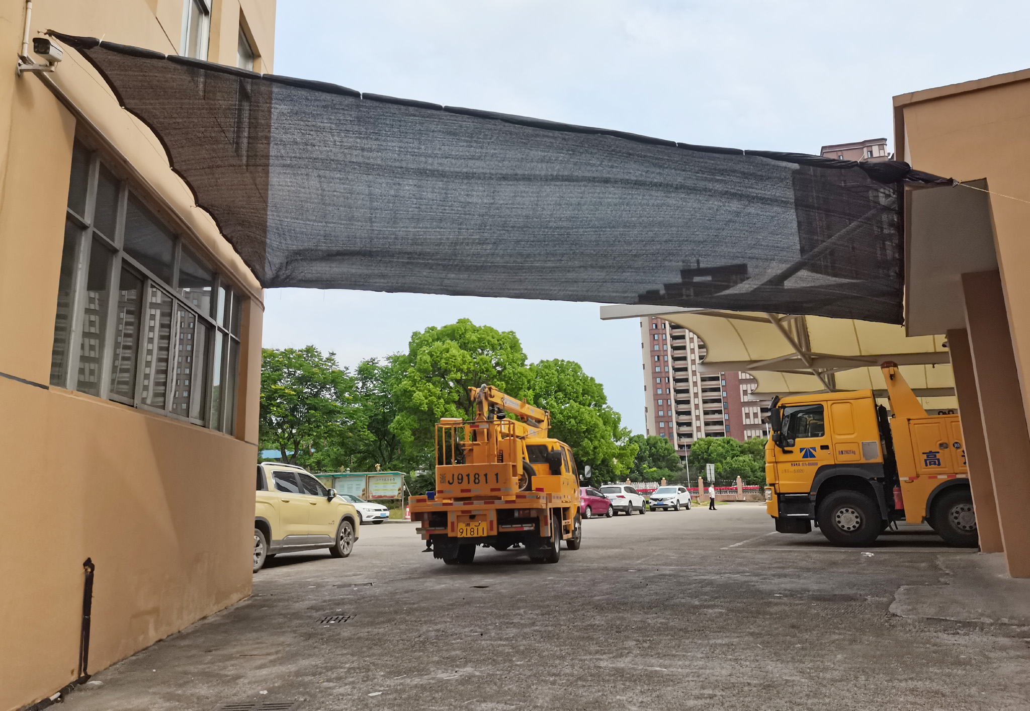 1686011337781927.jpg 圖為已安裝完成的這陽網效果.jpg