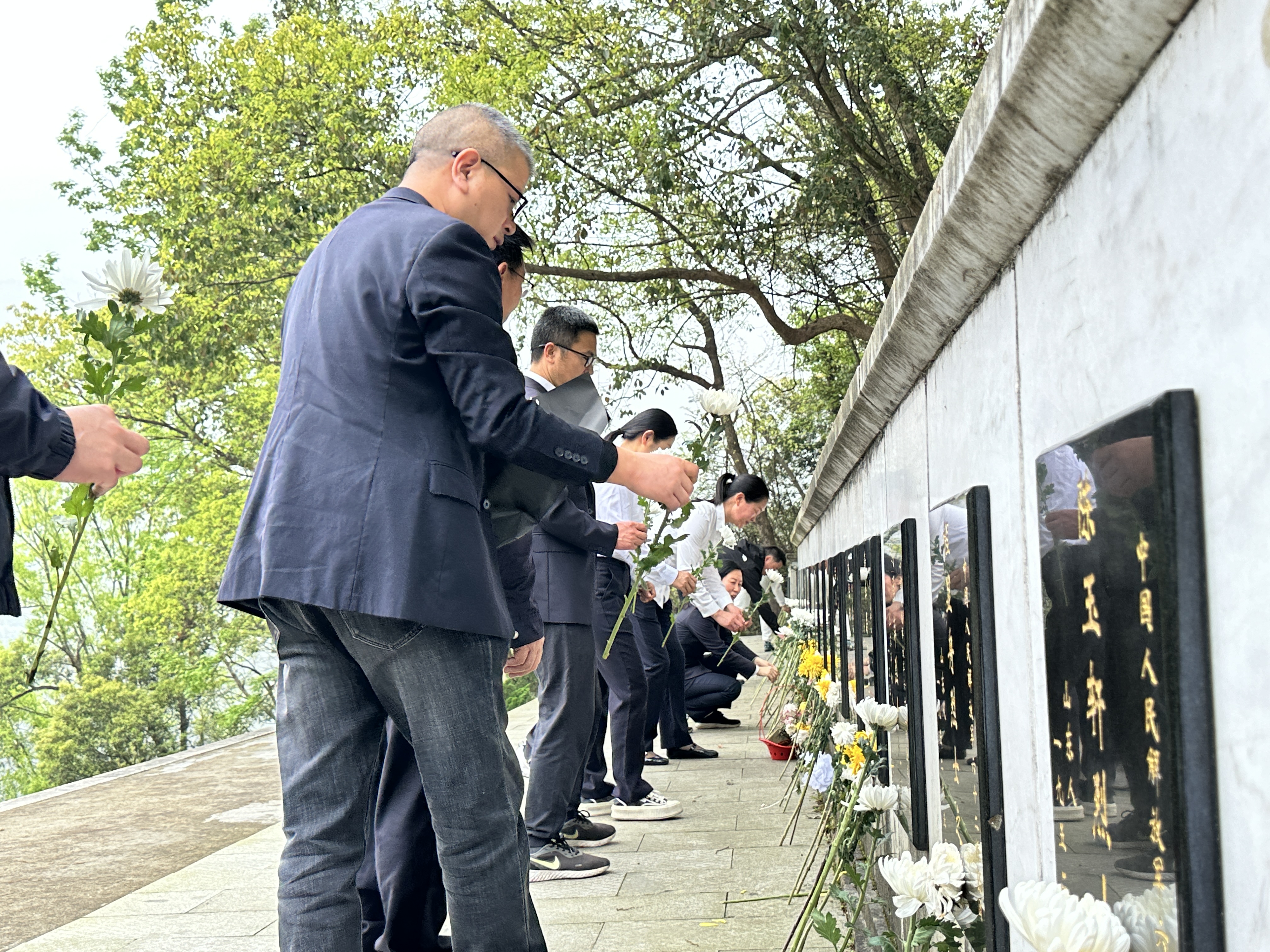 1711956394340087.jpg 184f7758a46820134a8cbfdd17f6425.jpg